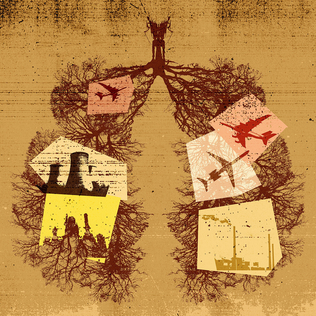 Branches of bare trees forming human lungs, illustration