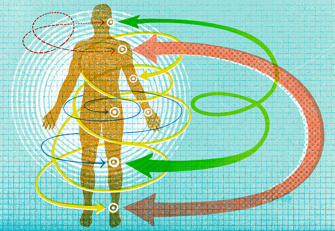 Arrows pointing to joints on human body, illustration