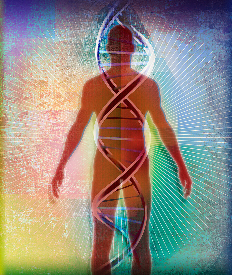 Double helix over human body, illustration