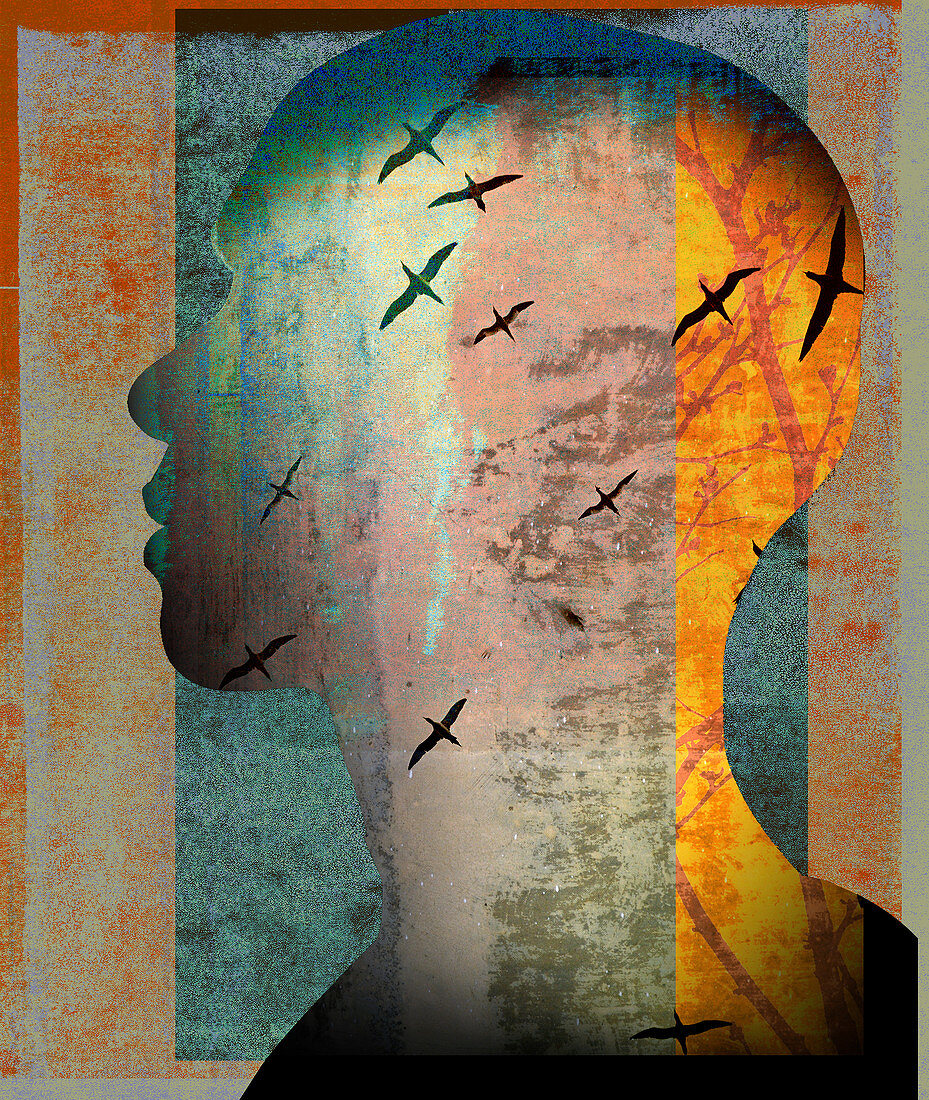 Birds flying inside of man's head, illustration