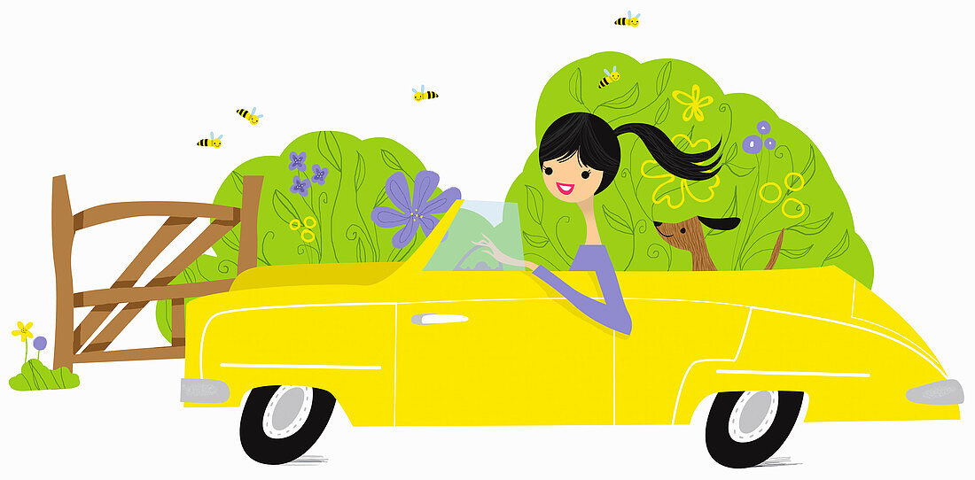 Carefree woman and dog in yellow convertible, illustration