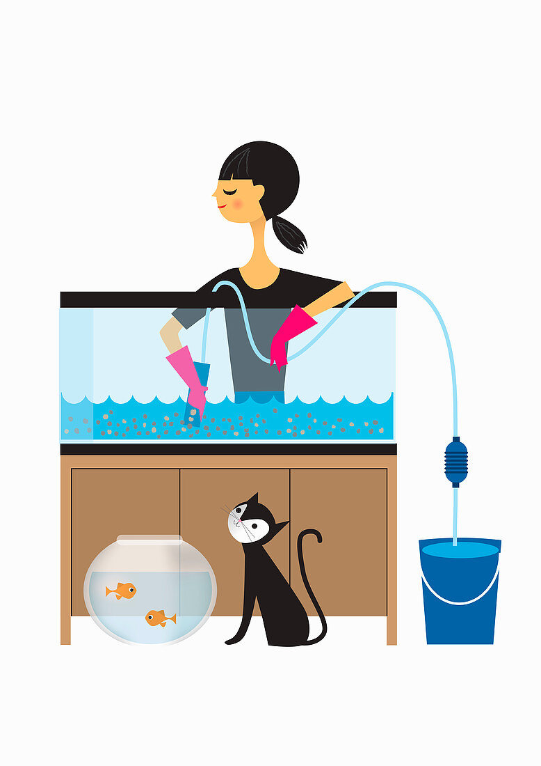 Woman cleaning out fish tank, illustration