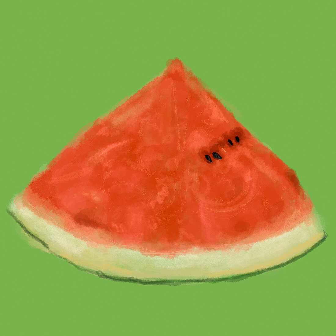 Close up slice of watermelon, illustration