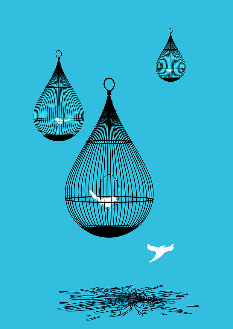 Freed bird flying away from broken birdcage, illustration