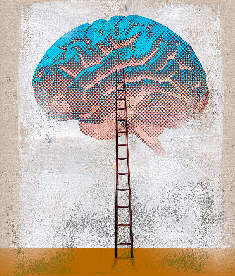 Ladder leading to large brain, illustration