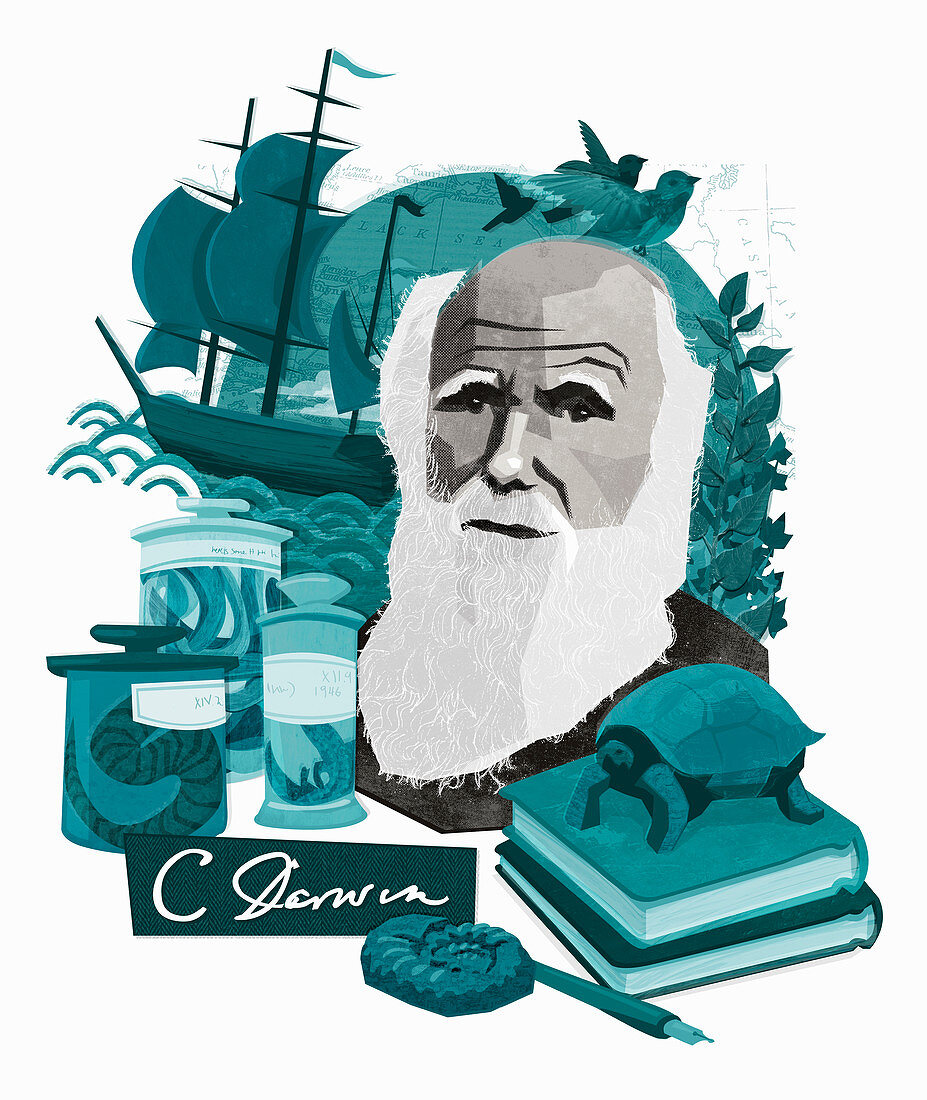 Charles Darwin, English naturalist, illustration