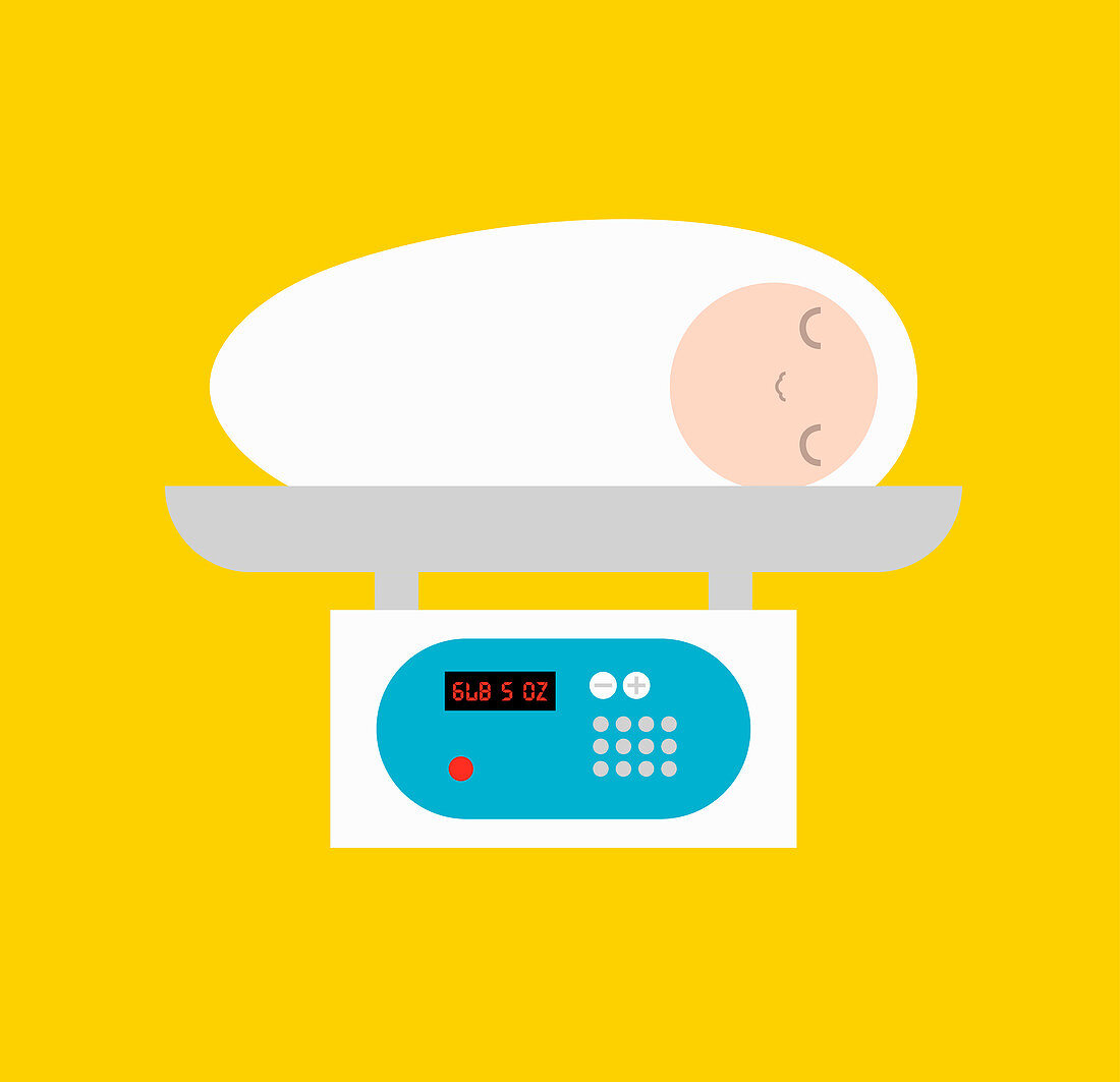 Newborn baby on weight scale, illustration