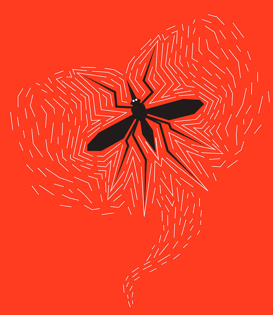 Mosquito buzzing, illustration