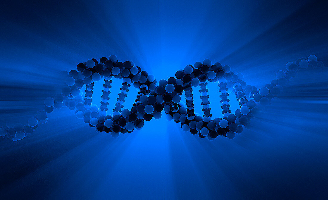 DNA double helix, illustration