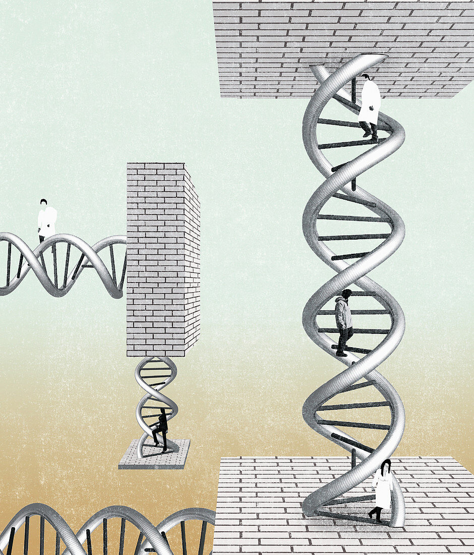 People climbing DNA double helix, illustration