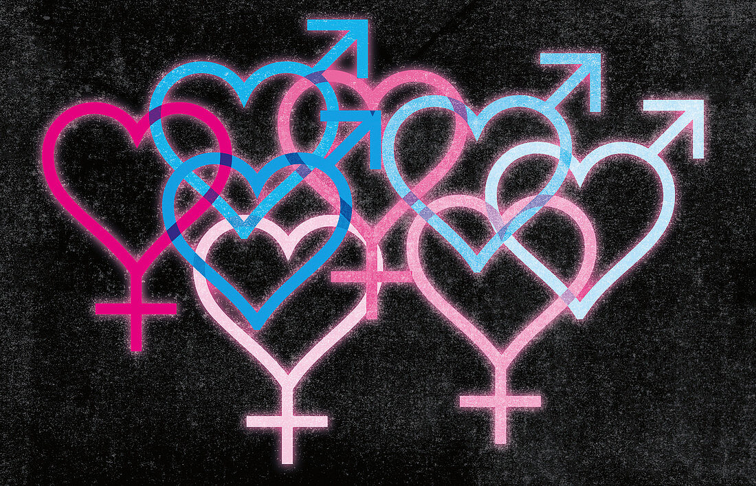 Overlapping blue and pink gender symbol hearts, illustration