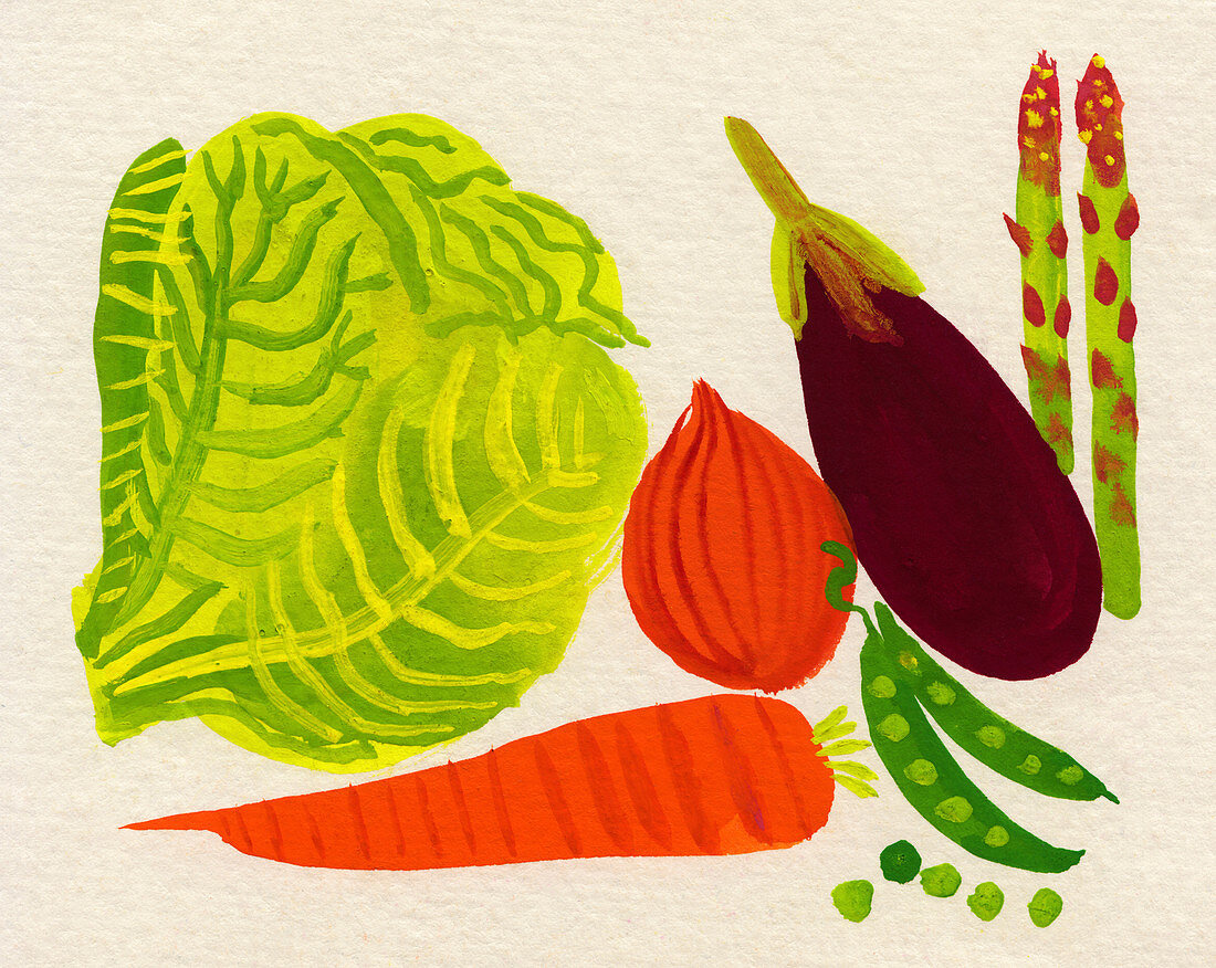 Various fresh vegetables, illustration