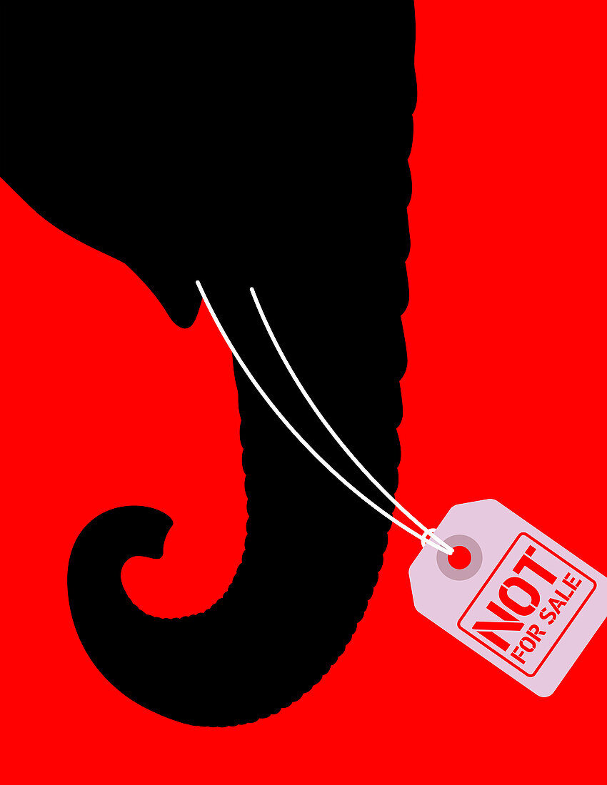 Elephant with Not For Sale sign, illustration