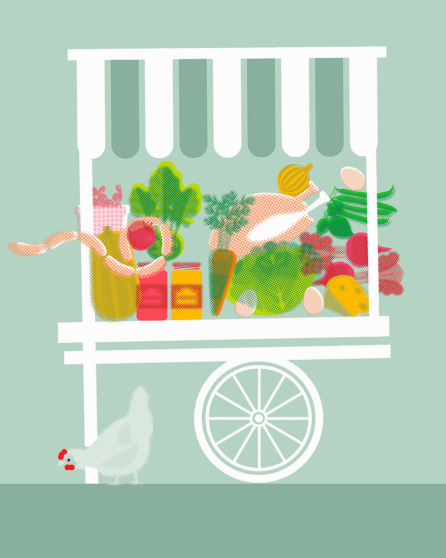 Farm produce market stall, illustration