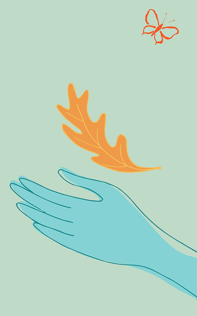 Hand catching autumn leaf, illustration
