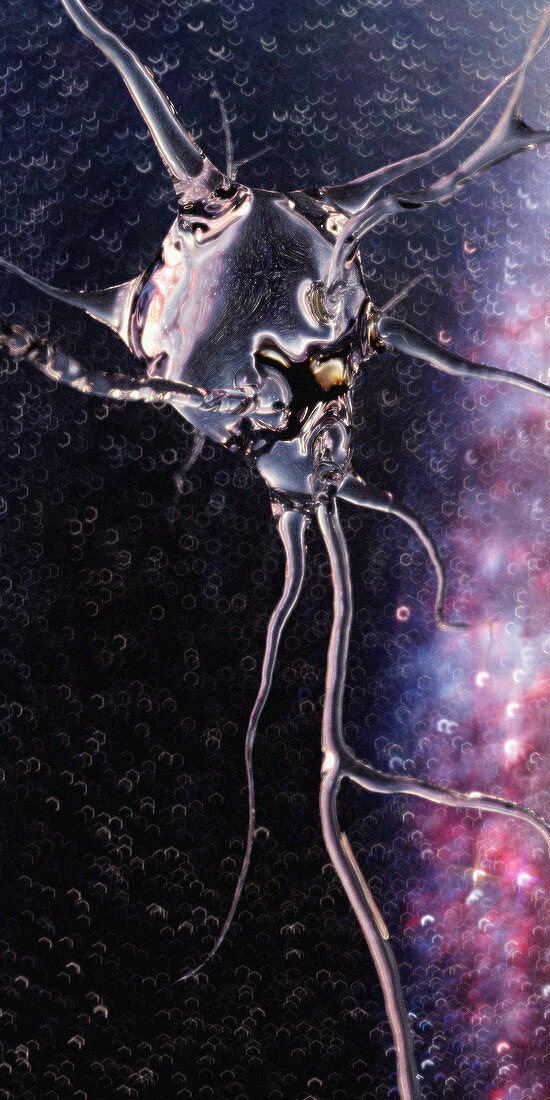 Translucent neuron, illustration