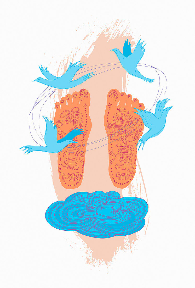 Reflexology diagram on soles of feet, illustration