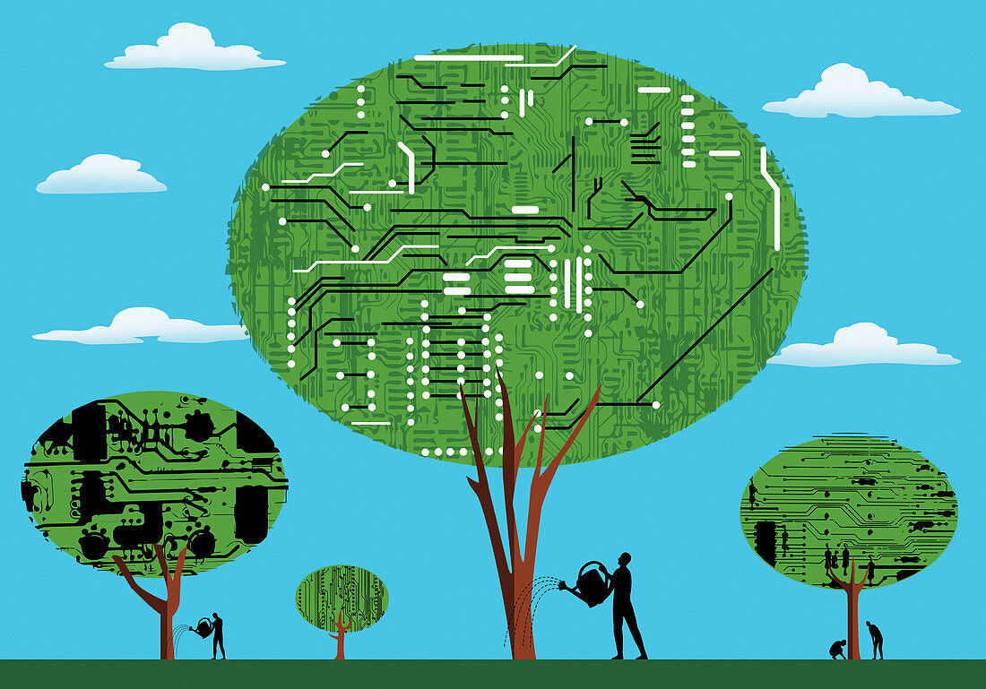 Men looking after circuit board trees, illustration