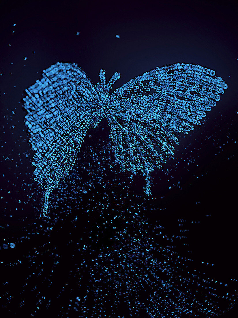 Three dimensional qubit butterfly, illustration