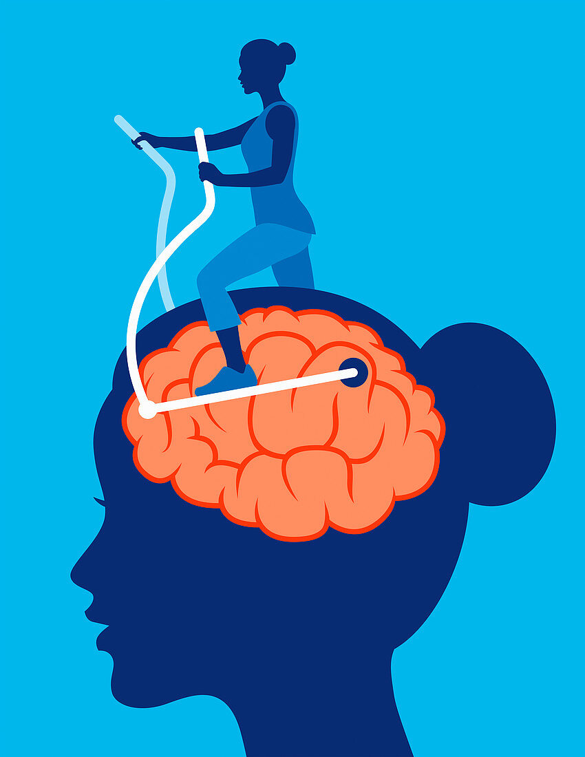 Exercising brain, conceptual illustration