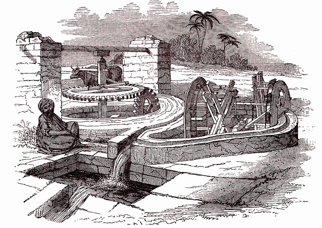 Irrigation system in Egypt, 19th century