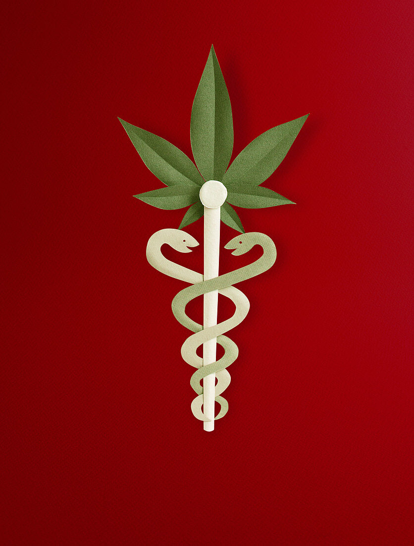 Medical marijuana, conceptual illustration