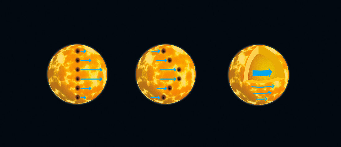 Sunspot rotation, illustration