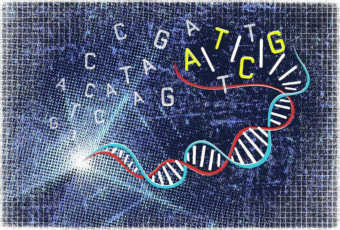Double helix and genetic code, illustration