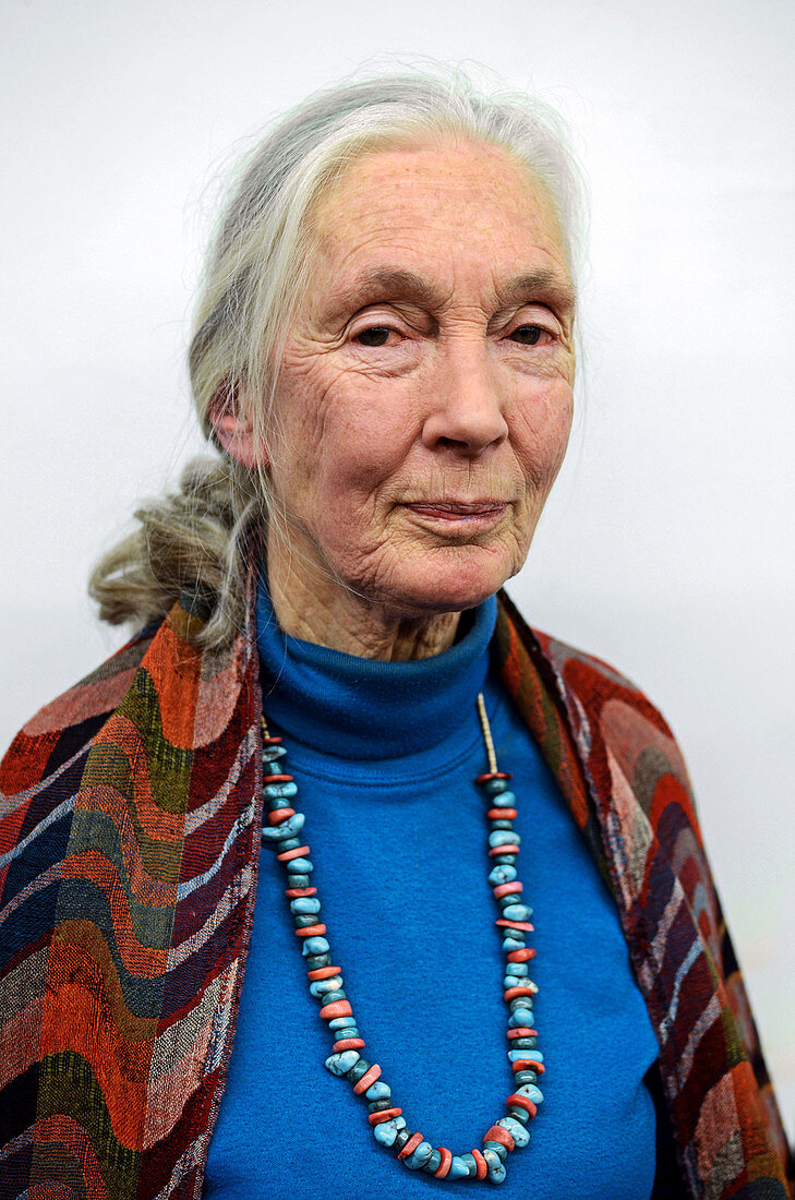 Jane Goodall, British primatologist