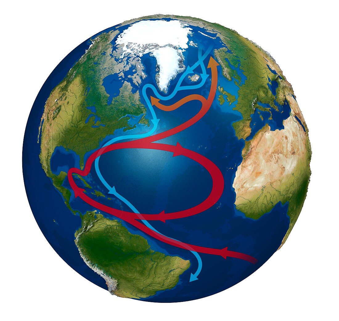 Atlantic Ocean currents, illustration