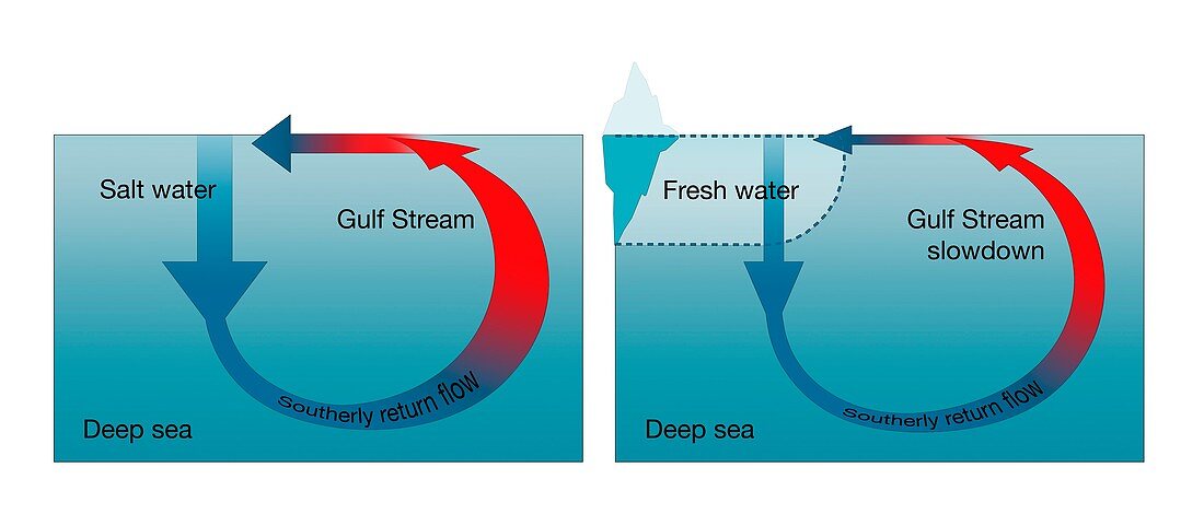 Gulf Stream disruption, illustration