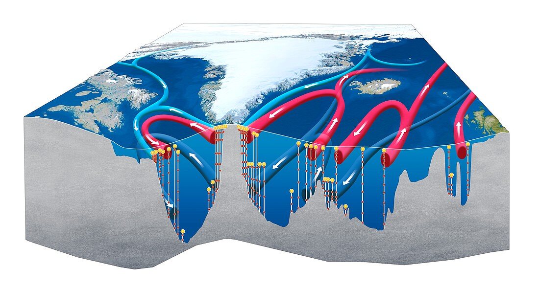 OSNAP ocean currents observing system, illustration
