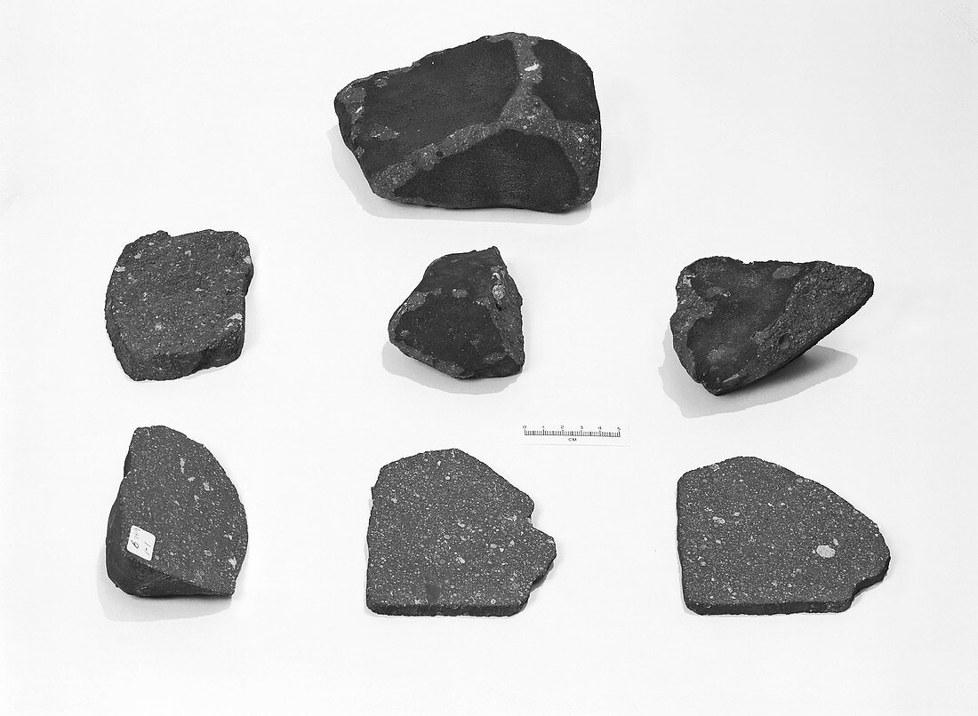 Allende meteorite fragments