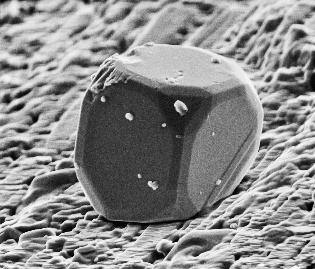 Iron crystal growing on lunar sample, SEM