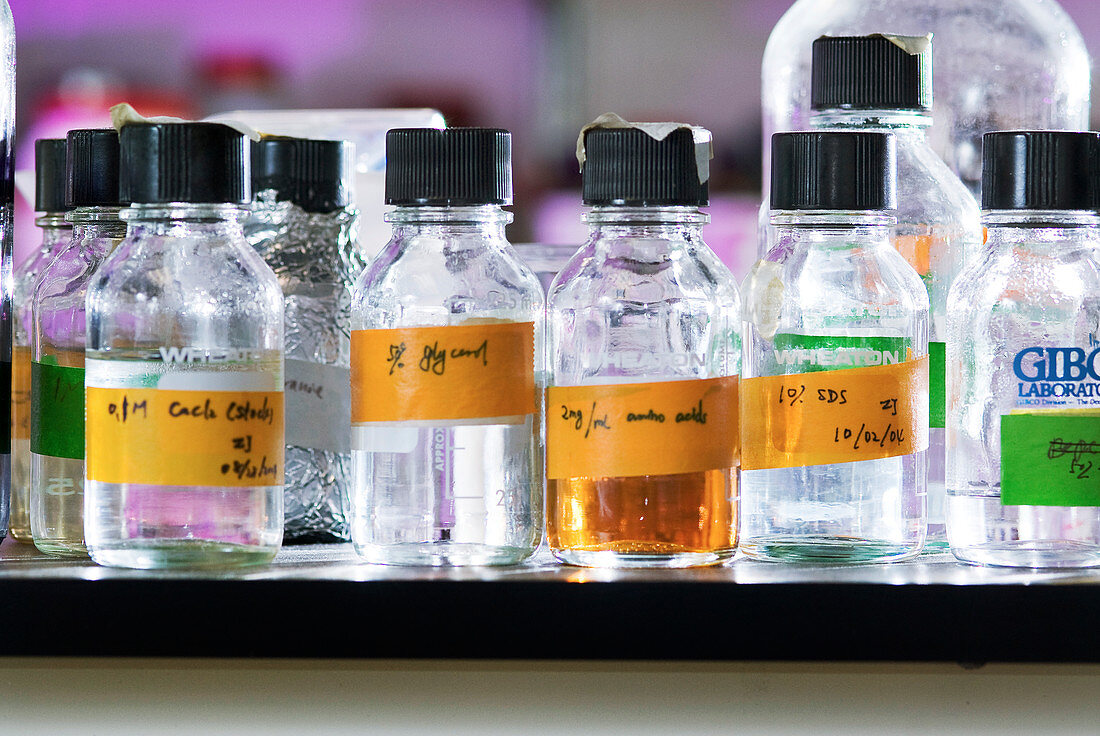 Bottles in a laboratory