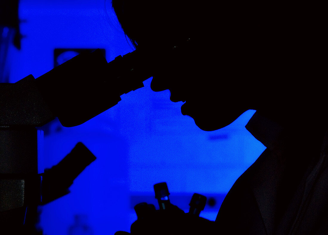 Silhouette of a person using a microscope
