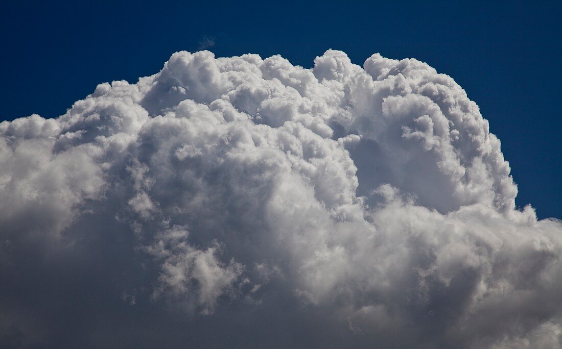 Cumulus congestus clouds