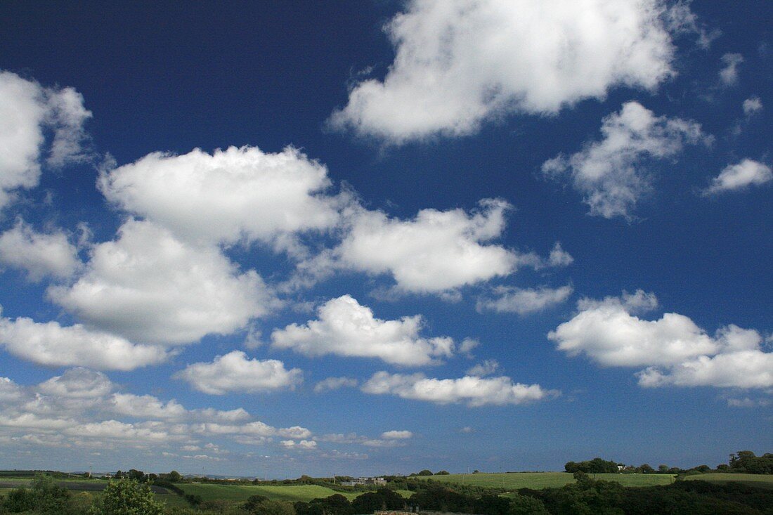 Cumulus humilis clouds on a boundary layer