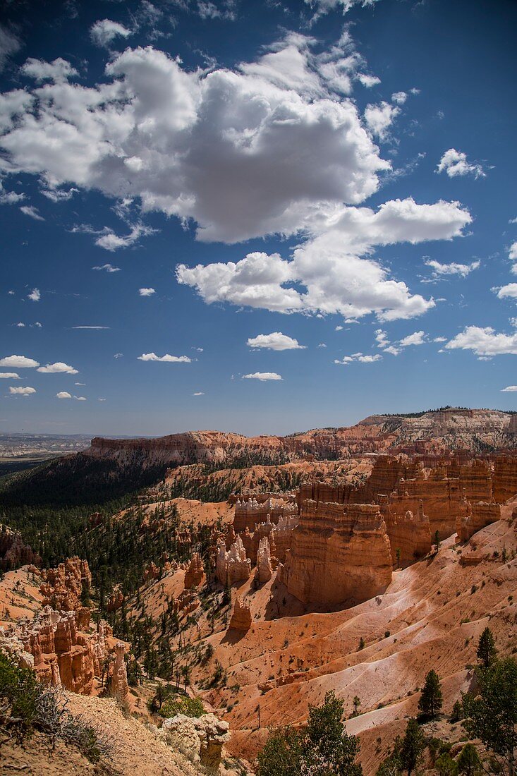 Cumulus humilis clouds over Bryce Canyon National Park