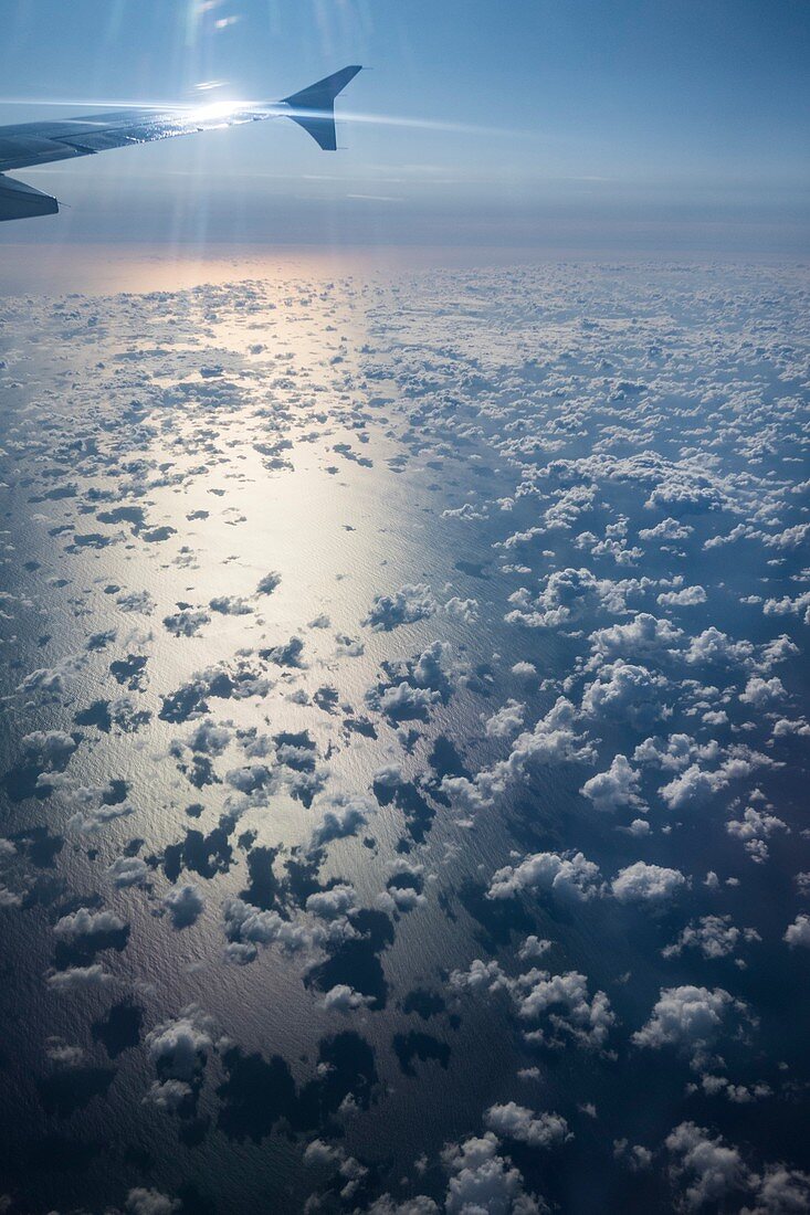 Cumulus humilis clouds seen from an aircraft over the sea