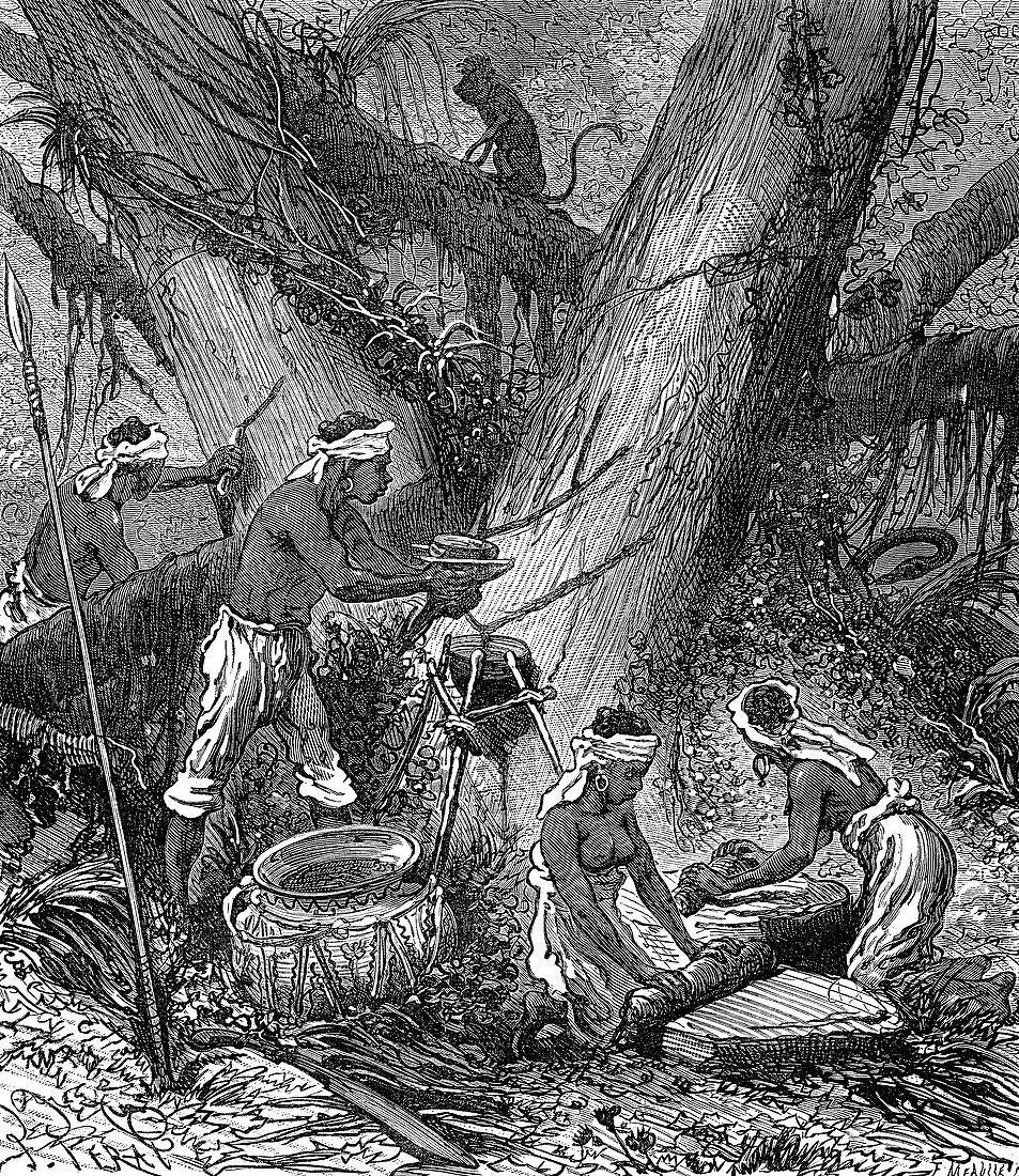 Rubber industry in Malaysia, 19th century