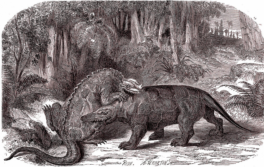 Iguanodon and Megalosaurus, 19th-century illustration