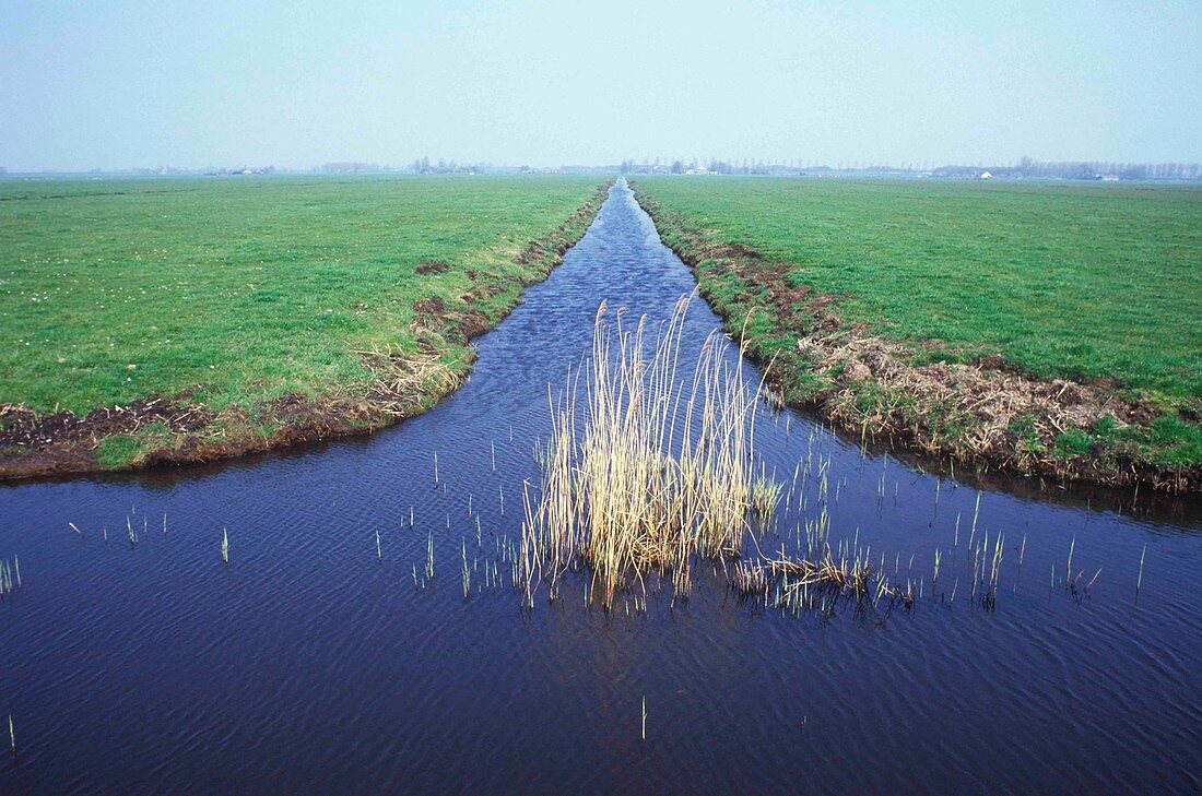 Irrigation ditch
