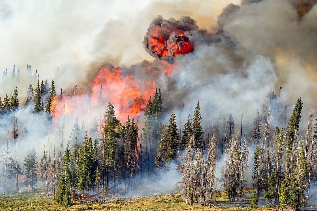 Wyoming wildfire, July 2016