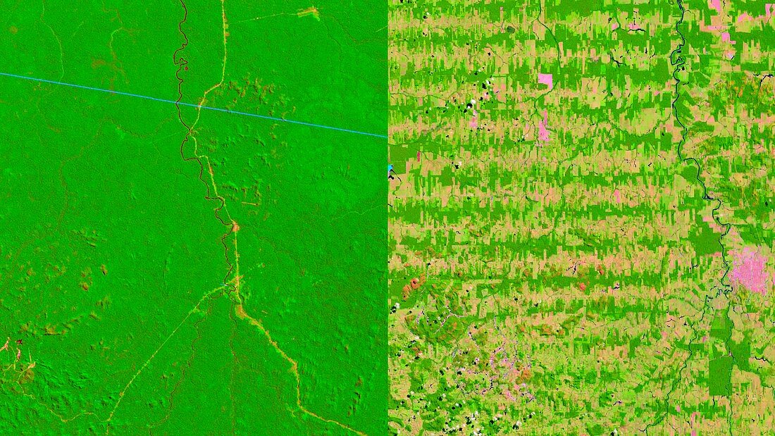 Deforestation in the Amazon 1975 to 2012, satellite images