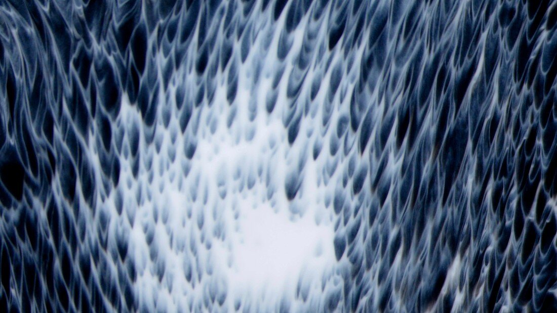 Liquid patterns, light micrograph