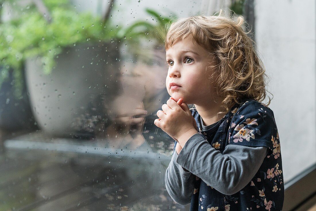 3 year old girl looking out the window