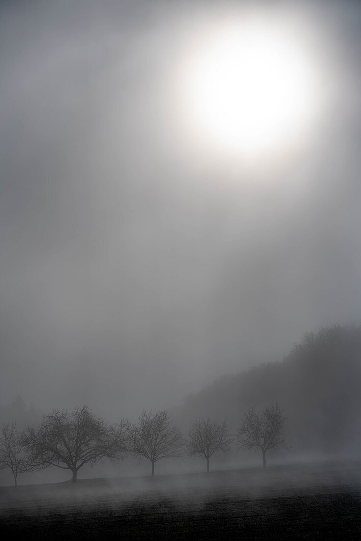 Landscape in the mist, Dordogne, France
