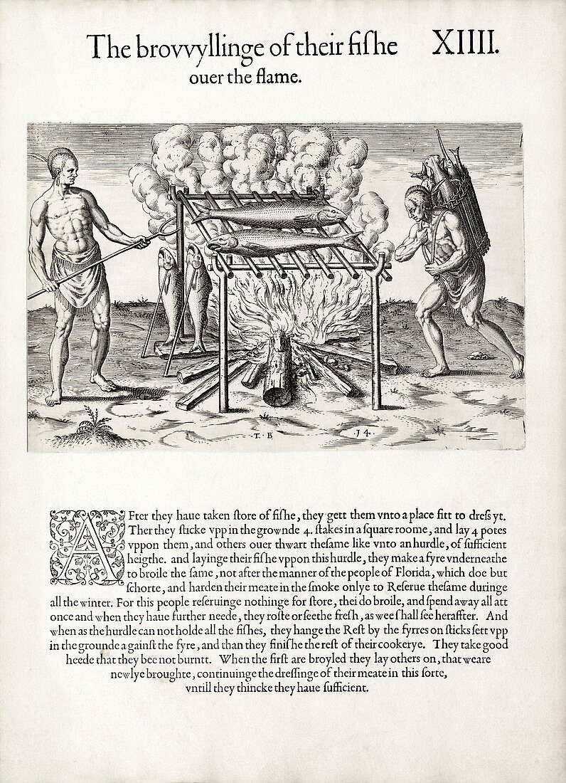 Carolina Algonquians cooking fish, 1580s
