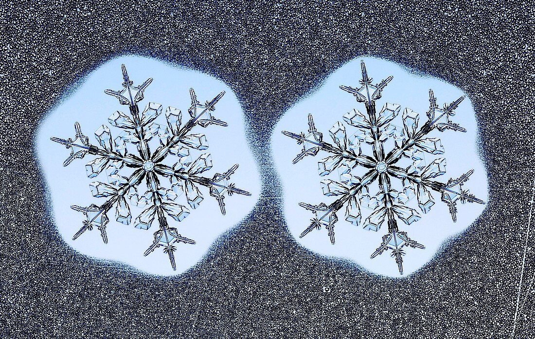 Twin snowflakes